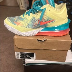 Nike LeBron 18 new with box